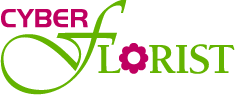 logo CyberFlorist
