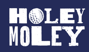 logo holeymoley