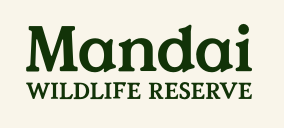 logo mandaiwildlife